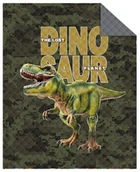 Narzuty - Narzuta młodzieżowa pikowana, wzór dinozaur, 170x210 cm - miniaturka - grafika 1