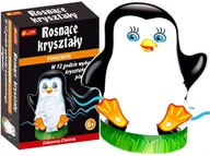 Mały naukowiec - Nauka I Zabawa Produkcja Kryształów Eksperymenty Dla Dzieci Zabawki Kreatywne Zestawy - miniaturka - grafika 1