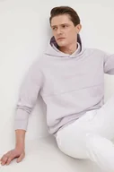 Bluzy męskie - Calvin Klein bluza męska kolor szary z kapturem z aplikacją - miniaturka - grafika 1