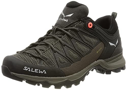 Salewa MTN Trainer Lite GTX Buty Kobiety, brązowy/pomarańczowy UK 6,5 | EU 40 2022 Buty turystyczne 00-0000061362-7517-6,5