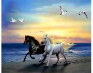 Zabawki kreatywne - Diamentowa Mozaika Konie Dwa W Galopie Nad Morzem 30x40 - miniaturka - grafika 1