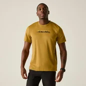 Koszulki sportowe męskie - Regatta Koszulka męska Fingal Slogan Brązowy, Rozmiar: M - miniaturka - grafika 1