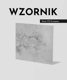 Wzornik DS - (jasny popiel, czarne kruszywo, średnia porowatość) - beton architektoniczny - Inne materiały budowlane - miniaturka - grafika 1