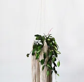 Kwietniki - 'ARIA' XL kwietnik makrama - miniaturka - grafika 1