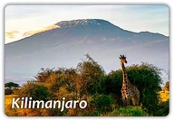 Magnesy - AFRYKA - Kilimandżaro - Kilimanjaro National Park - Magnes na lodówkę - miniaturka - grafika 1