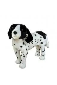 Pies angielski pointer 45cm - Maskotki i pluszaki - miniaturka - grafika 1