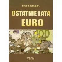 Wektory Bandulet Bruno Ostatnie lata Euro - Biznes - miniaturka - grafika 1