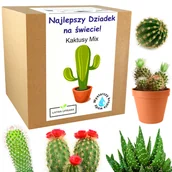 Nasiona i cebule - Zestaw do uprawy KAKTUSY MIX prezent dzień dziadka - miniaturka - grafika 1