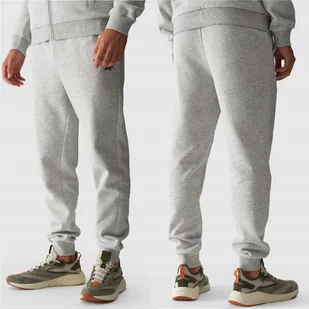 SPODNIE DRESOWE MĘSKIE 4F 3XL JOGGERY DRESY SPORTOWE TTROM0942 AW24 - Dresy męskie - miniaturka - grafika 1
