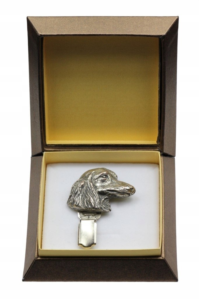 Jamnik broszka z klipsem na wystawę psów w pudełku