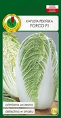 Nasiona i cebule - Kapusta pekińska Forco F1 0,5 g PNOS - miniaturka - grafika 1