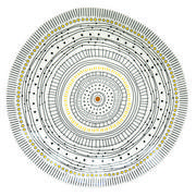 Talerze - Nuova Cer R2S Talerz płytki 26 cm R2S Organic żółty 1821 ORG2 - miniaturka - grafika 1