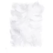 Dalprint Piórka 5-12 cm, 10g białe - Zabawki kreatywne - miniaturka - grafika 1