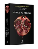 Powieści - Słońce w mroku - miniaturka - grafika 1