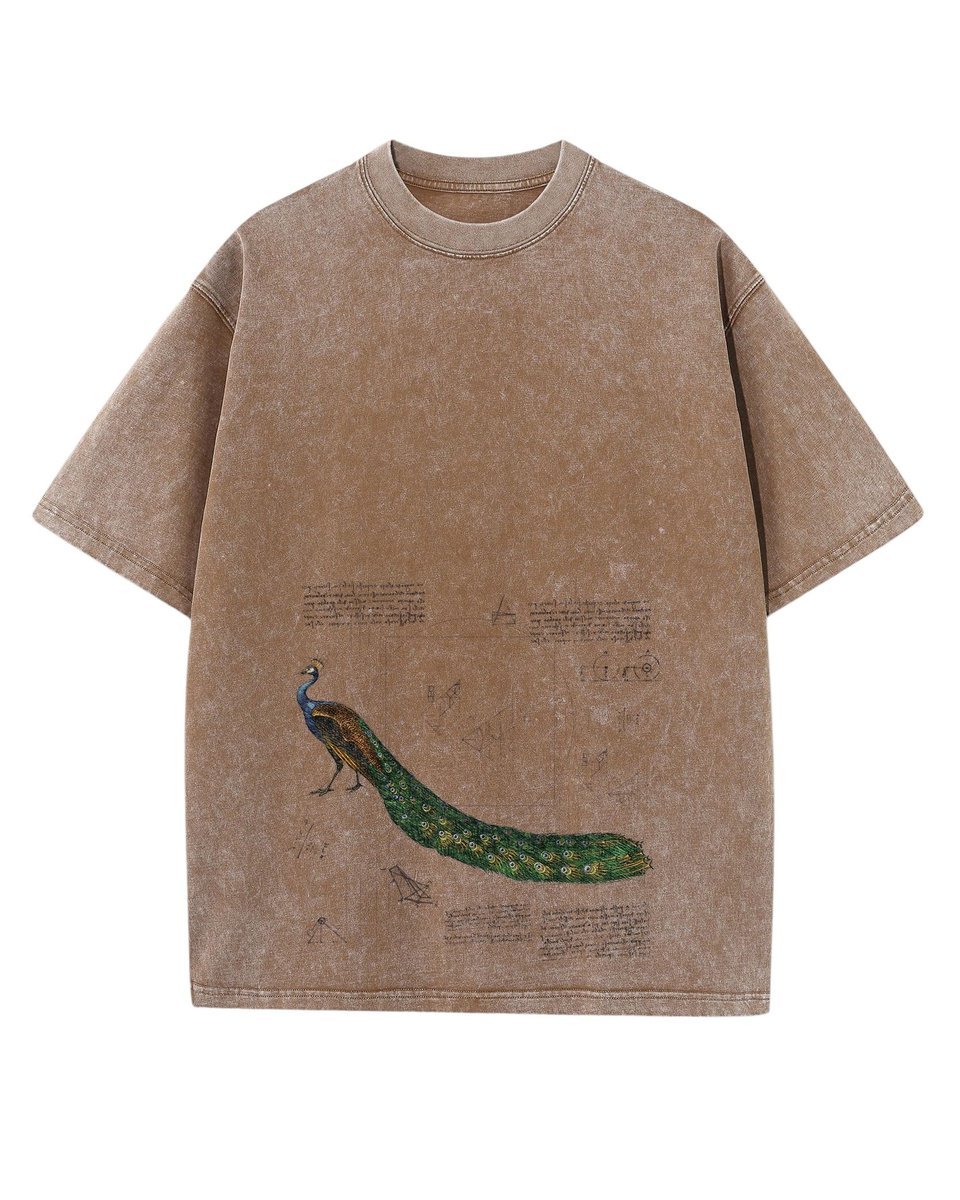 Męska koszulka oversize efekt sprania Piękny Paw Zwierzęta Brązowa XL