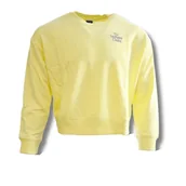 Bluzy damskie - Bluza Damska New Balance Athletics IC Crewneck Sweatshirt 2 - WT13562-SAY-L - miniaturka - grafika 1