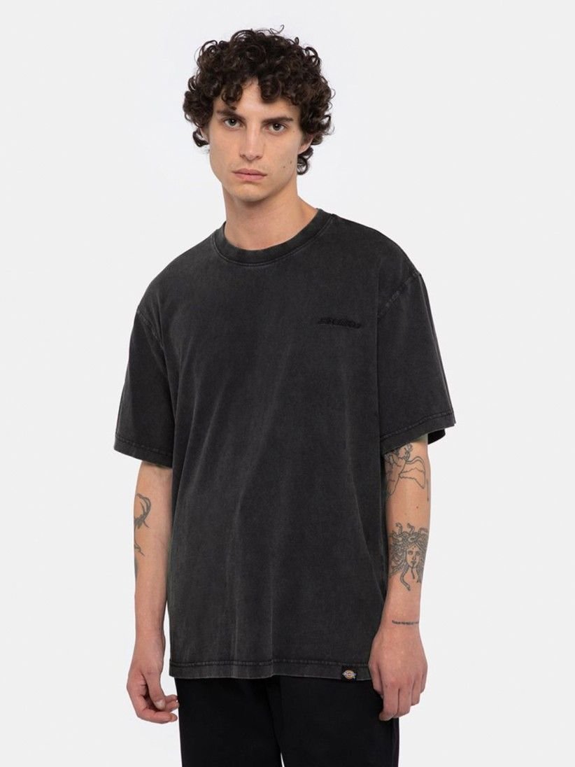 t-shirt uomo dickies plentywood tee - dk0a866bh861 acid black