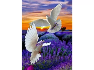 OBRAZ MALOWANIE PO NUMERACH RAMA 40x50cm DWA GOŁĘBIE - Malowanie po numerach OBRAZ MALOWANIE PO NUMERACH RAMA 40x50cm DWA GOŁĘBIE - Malowanie po numerach - miniaturka - grafika 1