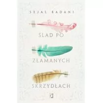 Ślad po złamanych skrzydłach SEJAL BADANI - Literatura obyczajowa - miniaturka - grafika 1