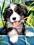 Malowanie po numerach - Obraz Malowanie Po Numerach Na Krośnie + Rama - miniaturka - grafika 1