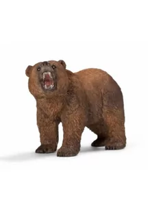 Niedźwiedź grizzly - Albumy krajoznawcze - miniaturka - grafika 1
