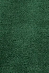 Koc bawełniany akrylowy 150x200 0293/11 ciemno zielony narzuta pled - Koce Koc bawełniany akrylowy 150x200 0293/11 ciemno zielony narzuta pled - Koce - miniaturka - grafika 1