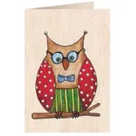 Koperty - Cozywood Karnet drewniany C6 + koperta Sowa 298506 - miniaturka - grafika 1