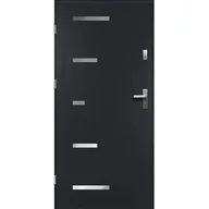 Drzwi zewnętrzne - Drzwi zewnętrzne SPARTA pełne inox antracyt 90 lewe RADEX - miniaturka - grafika 1