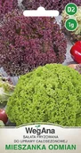 Nasiona i cebule - Sałata masłowa fryzowana mieszanka odmian 1g nasiona - WegAna - miniaturka - grafika 1