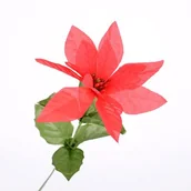 Ozdoby bożonarodzeniowe - Poinsecja pojedyncza 50 x 13 cm - miniaturka - grafika 1