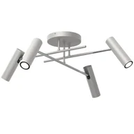 Lampy sufitowe - Minimalistyczna, jasnoszara lampa sufitowa LX 288 z serii AXION - miniaturka - grafika 1