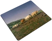 Podkładki pod mysz - Podkładka Orka w Nivernais Rosa Bonheur 24x19cm - miniaturka - grafika 1