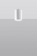 Lampy sufitowe - Sollux Lighting Plafon LAGOS 10 biały - miniaturka - grafika 1
