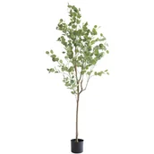 Sztuczne kwiaty - Sztuczny eukaliptus 180 cm - miniaturka - grafika 1