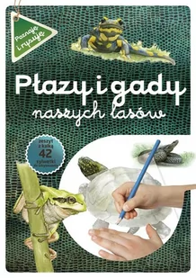 Multico Płazy i gady naszych lasów Katarzyna Kopiec-Sekieta - Książki edukacyjne - miniaturka - grafika 2