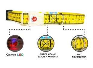 Matteo Obroża Klamra LED 25mm miara - Obroże dla psów - miniaturka - grafika 2
