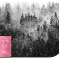 Fototapety - FOTOTAPETA DO SYPIALNI SALONU CZARNO-BIAŁY LAS WE MGLE GÓRY PEJZAŻ 100x70 - miniaturka - grafika 1