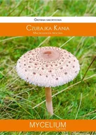 Nasiona i cebule - Grzybnia - Grzybnia mikoryzowa Czubajka Kania 60ml - miniaturka - grafika 1