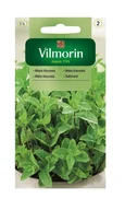Nasiona i cebule - Mięta kłosowa 0,1 g Vilmorin - miniaturka - grafika 1