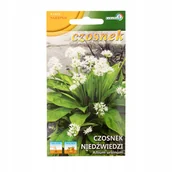 Nasiona i cebule - CZOSNEK NIEDŹWIEDZI wieloletni NASIONA p.BS878D; - miniaturka - grafika 1