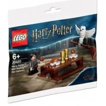 LEGO Harry Potter Harry i Hedwiga przesyłka dostarczona 30420 - Klocki - miniaturka - grafika 1