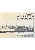 Książki o kulturze i sztuce - Dawny Wałbrzych w ikonografii - miniaturka - grafika 1