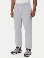 Spodnie sportowe męskie - The North Face Spodnie dresowe Expedition Celebration NF0A8E3E Szary Relaxed Fit - miniaturka - grafika 1