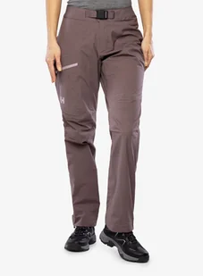 Spodnie damskie Helly Hansen Verglas Infinity Shell Pant - sparrow grey - Spodnie narciarskie - miniaturka - grafika 1
