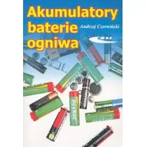Akumulatory baterie ogniwa - Andrzej Czerwiński - Nauka - miniaturka - grafika 1
