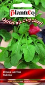 Nasiona i cebule - Plantico Rukola - miniaturka - grafika 1