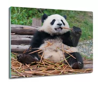 Deski do krojenia - szklana osłona kuchenna druk Panda bambus 60x52, ArtprintCave - miniaturka - grafika 1