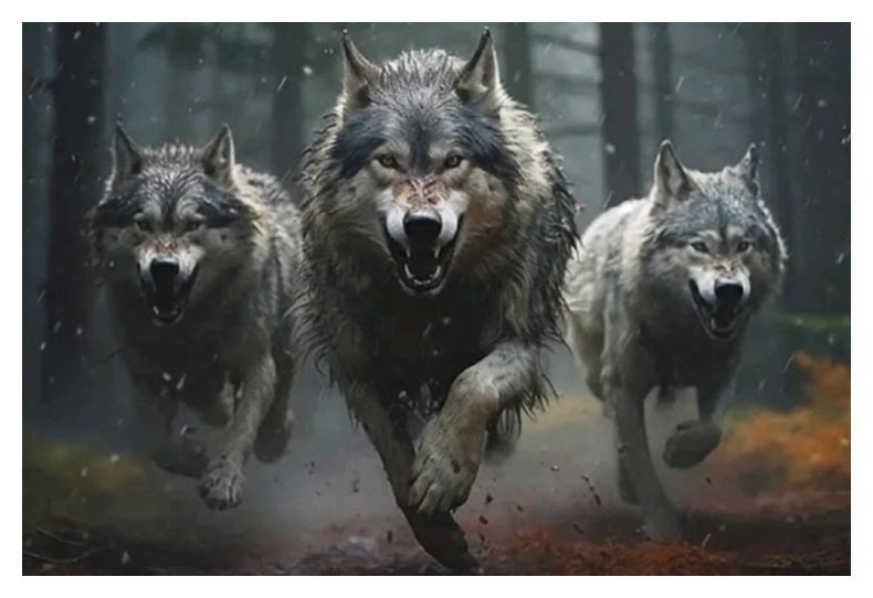 DIAMENTOWA PASJA Haft Diamentowy Obraz Diamentowy Mozaika Diamentowa WILKI WILK ZWIERZĘTA