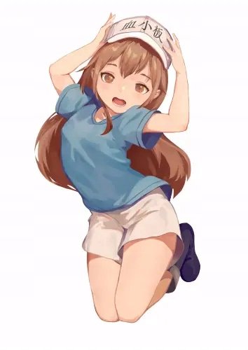 Plakat Anime Cells at Work hs_999 A1+ (custom)