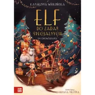 Pozostałe książki - Elf do zadań specjalnych - miniaturka - grafika 1